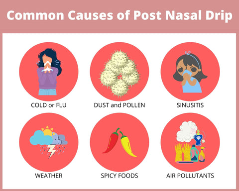 Common Causes For Post Nasal Drip allergies, pollen, cold, flu, air quality