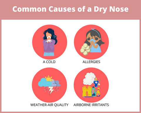 Common Causes of a Dry Nose