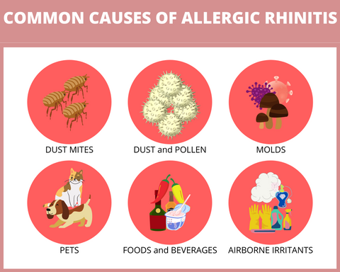 Common Causes of Allergic Rhinitis