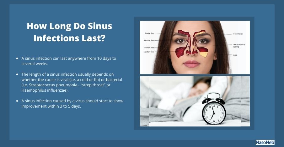 How Long So Sinus Infections Last?