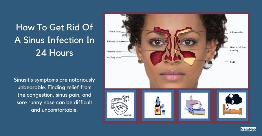 How To Get Rid Of A Sinus Infection In 24 Hours?