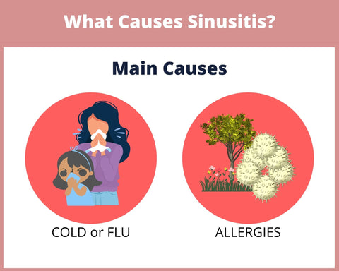 What causes a sinus infection