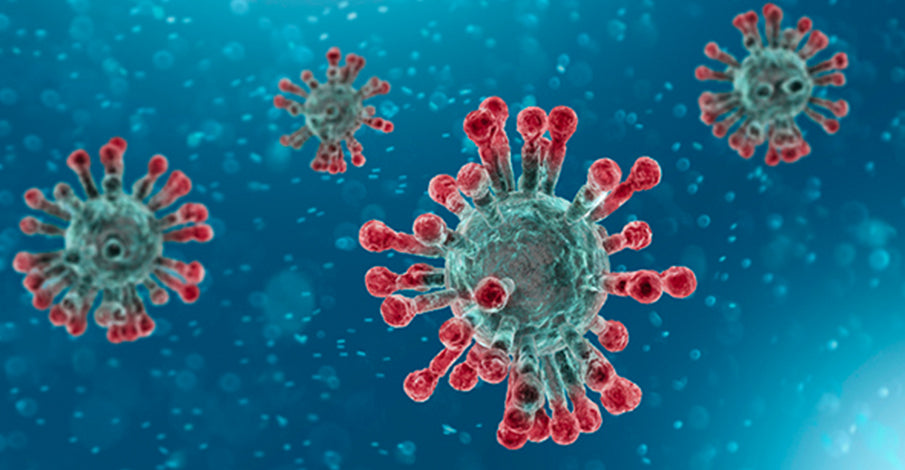 Digital illustration of red virus particles resembling coronaviruses against a blue background, highlighting the spike proteins on the viral surface.