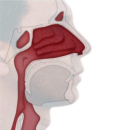 Dry and Itchy Nose, Deep Treating with NasoNeb