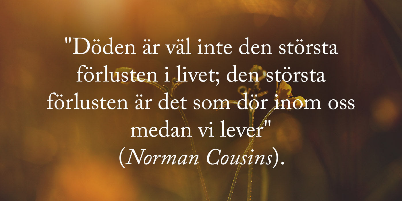 Döden Citat Från Norman Cousins