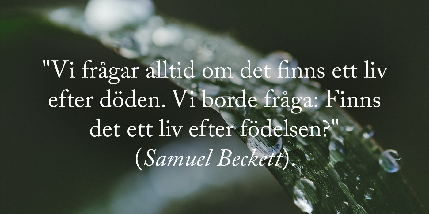 Döden Citat Från Samuel Beckett