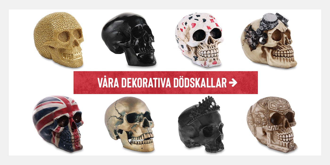 Köp Dekorativa Dödskallar På Skull Cult