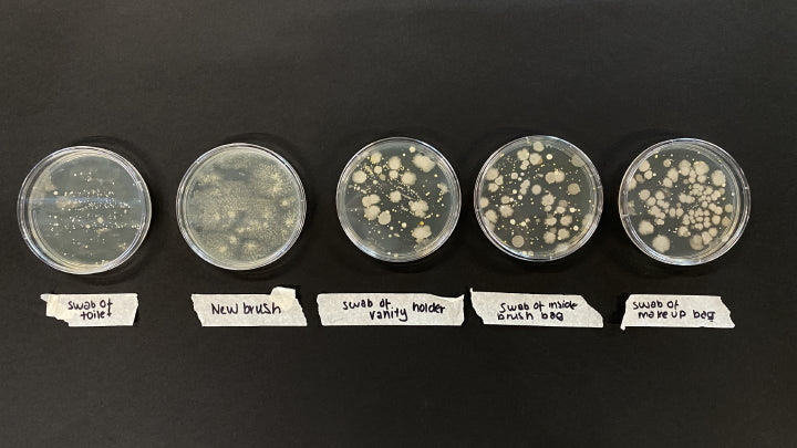 Makeup Brush Bacteria Swabs