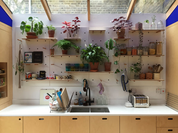 White pegboard in kitchen with plants by Kreisdesign