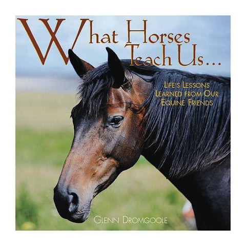 What Horses Teach Us Calendars Amp Photo Gift Book