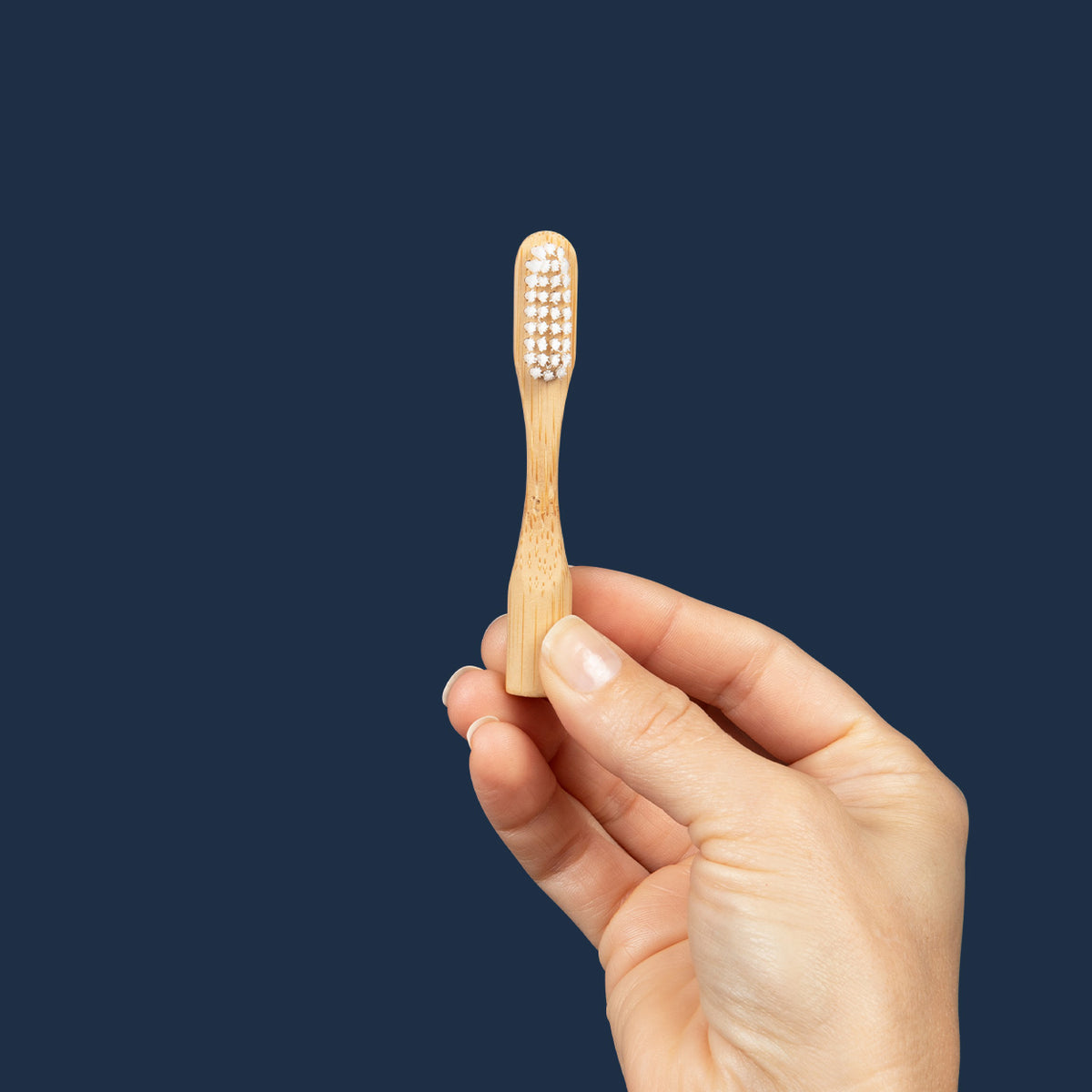 Toothbrush Head Refill