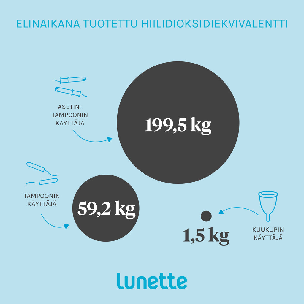 Elinaikana toteutunut hiilidioksidiekvivalentti