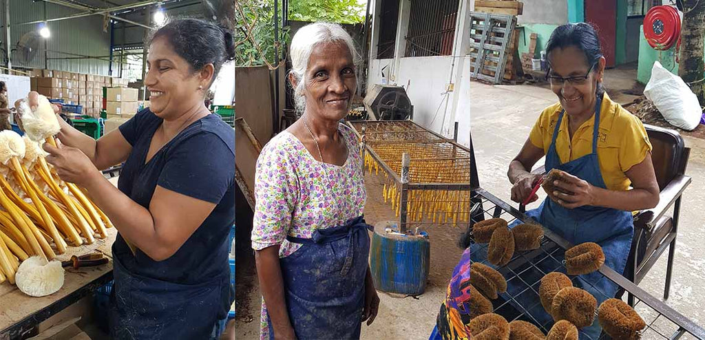 Eco Max -harjat valmistetaan Sri Lankassa kokonaan käsityönä. Käsityöläiset ovat pääosin naisia, jotka tulevat köyhistä oloista.
