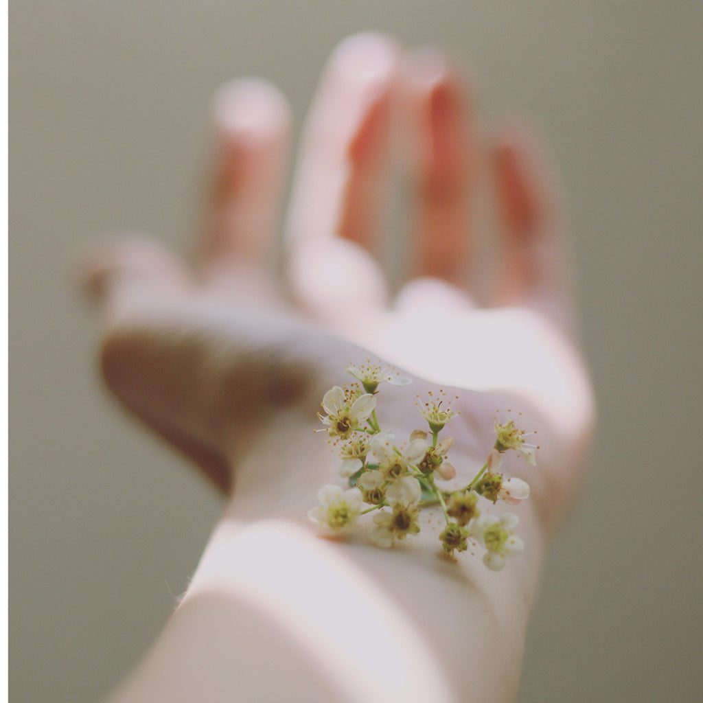Herkkä kuva ojennetusta kädestä, jonka ranteessa on kukka.