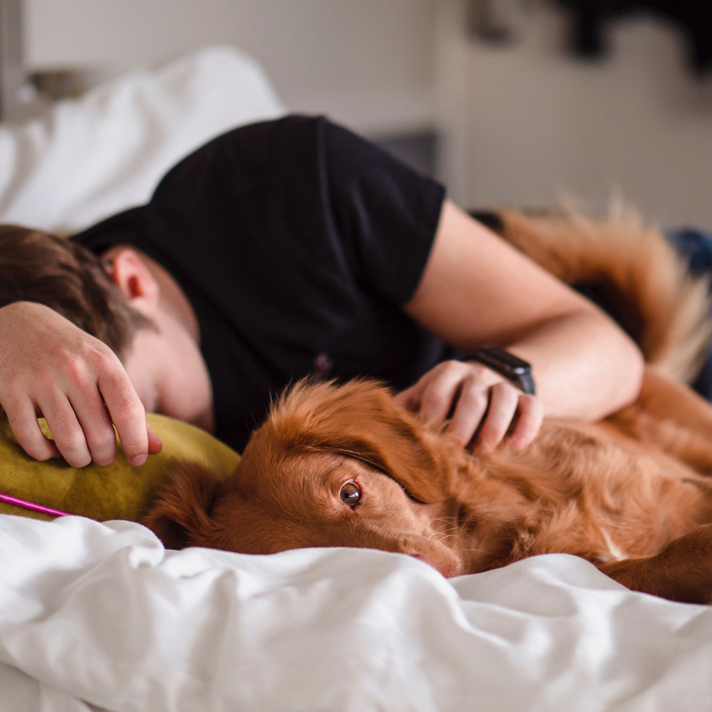 Ihminen lepäilee koiran kanssa sängyllä.