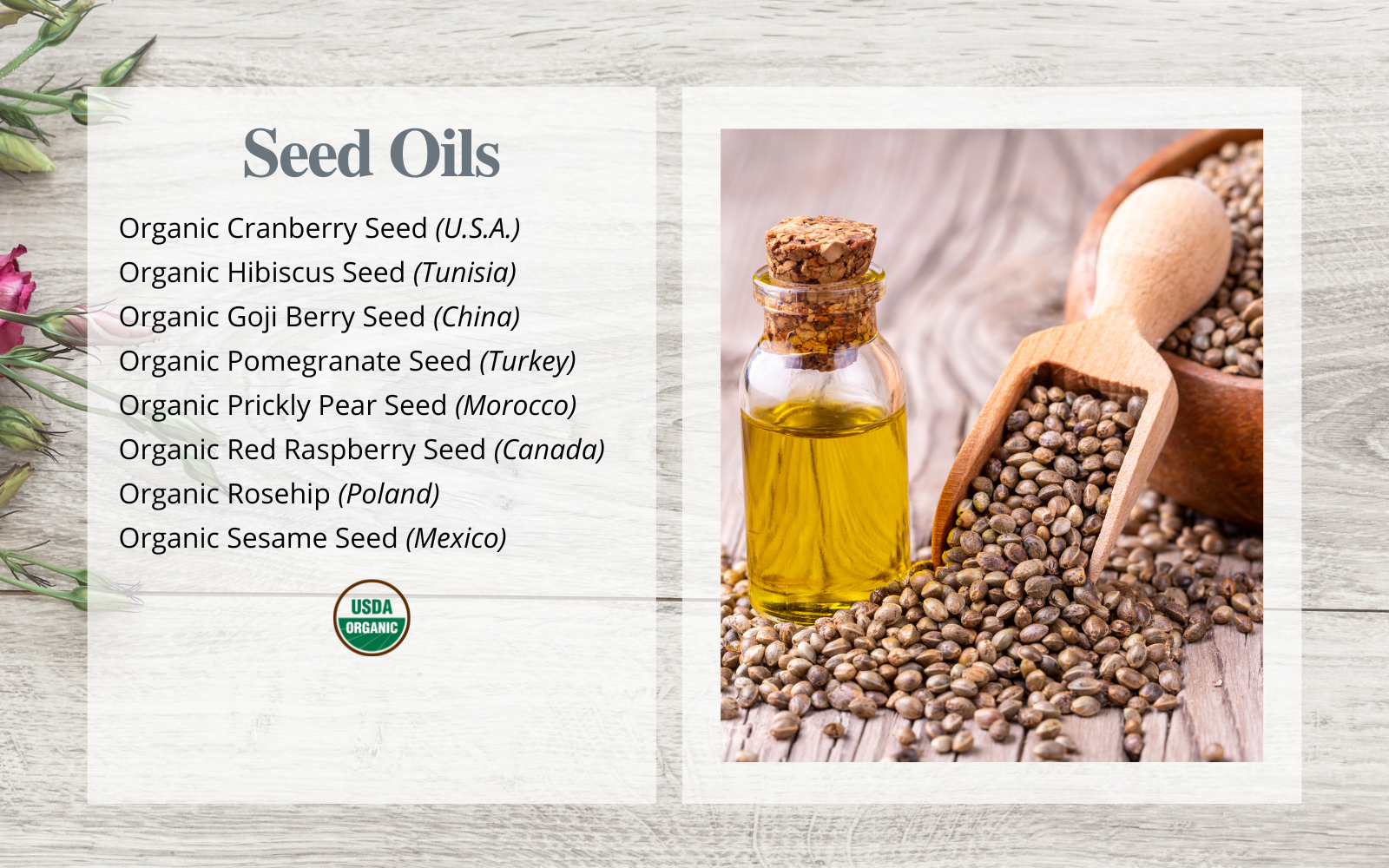 Seed Oils List