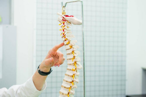 spine and health