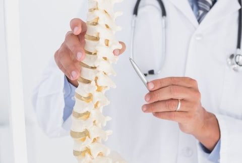 healthy spine