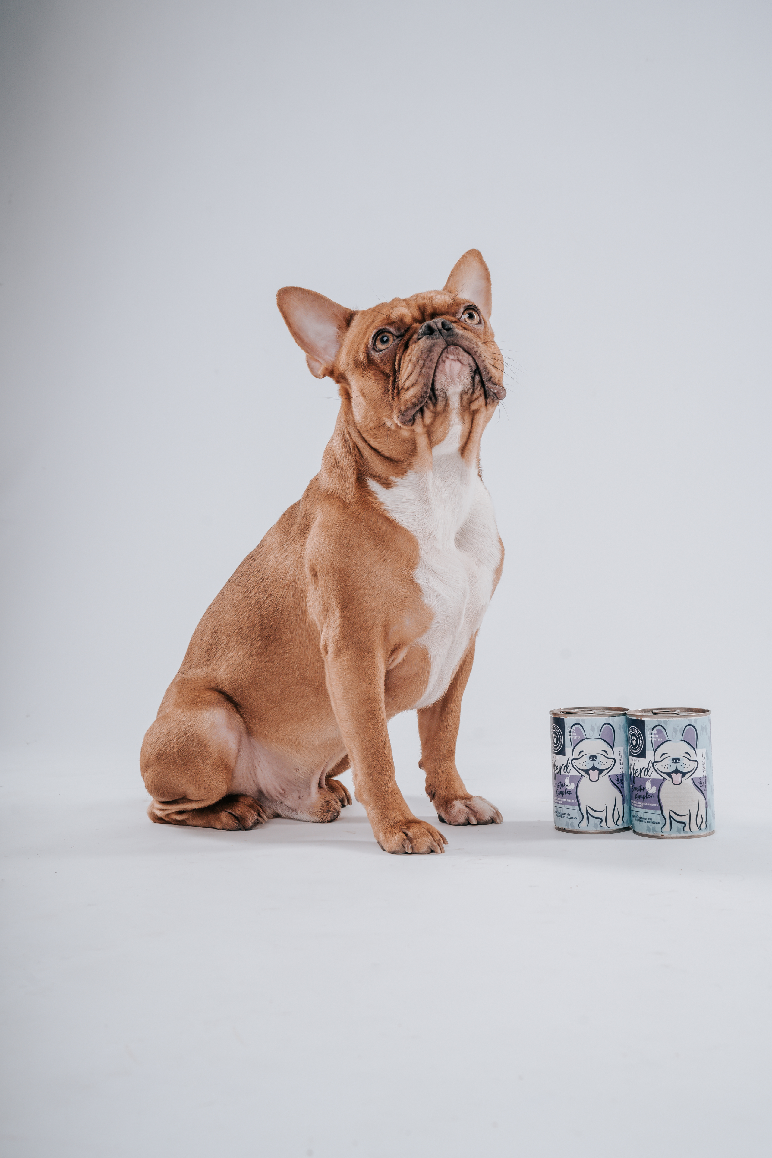 Pets Deli Hundefutter, das speziell entwickelt wurde, um die Ernährungsbedürfnisse von französischen Bulldoggen zu erfüllen