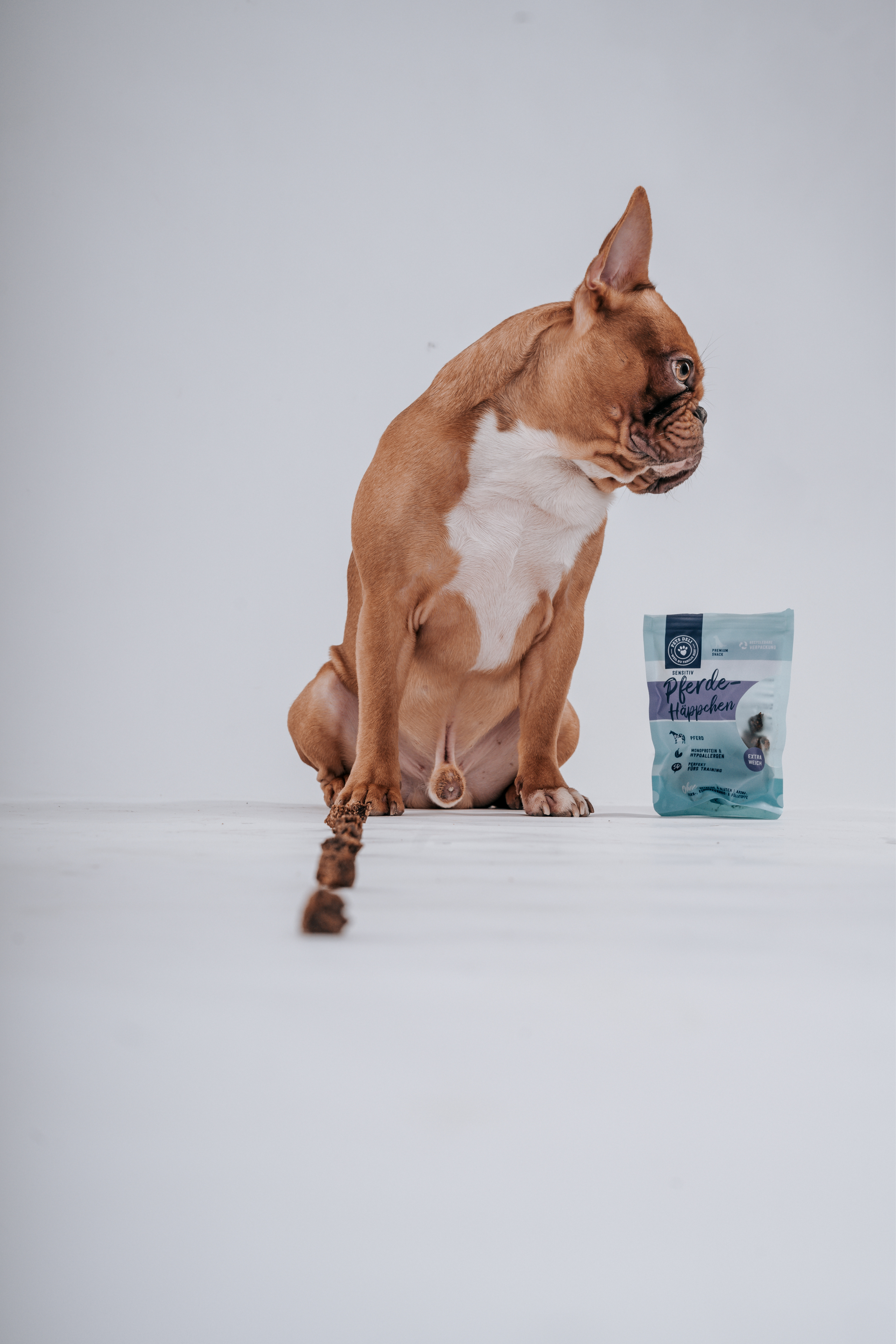 Französische Bulldogge mit Premium Futter von Pet Deli