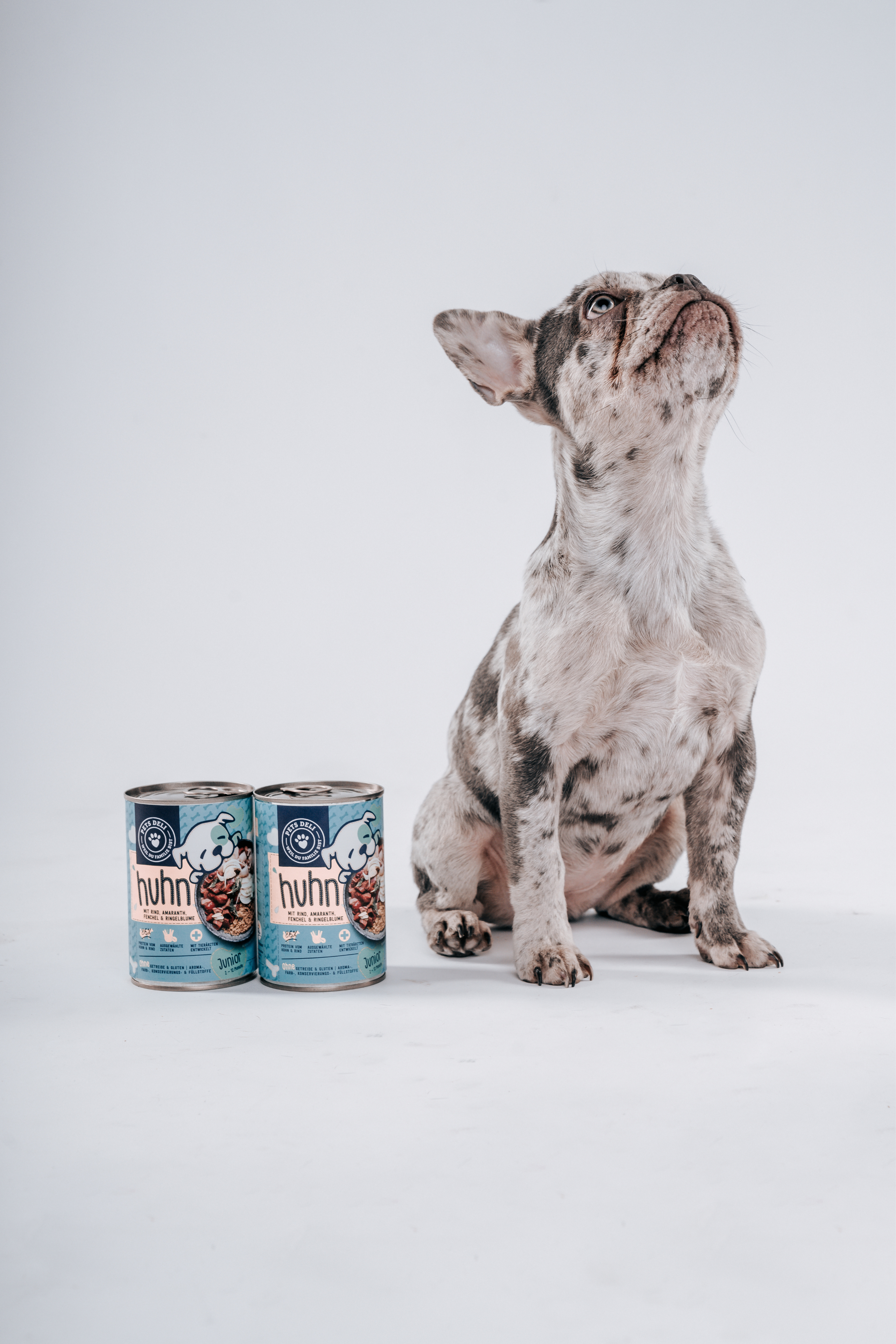Französische Bulldogge Welpe mit Premium Futter von Pet Deli