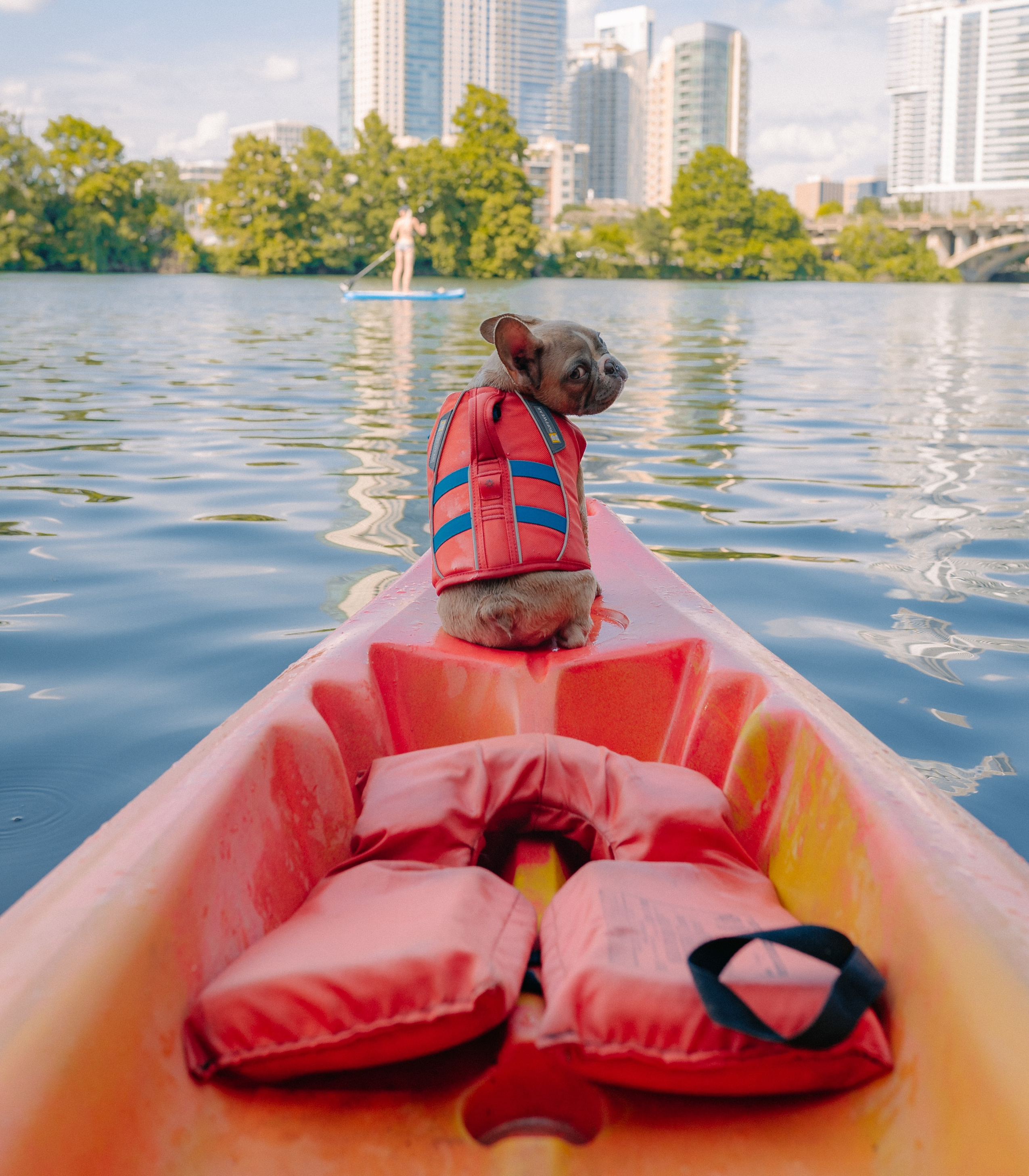 Eine Französische Bulldogge auf einem Kanu mit einer Schwimmweste 