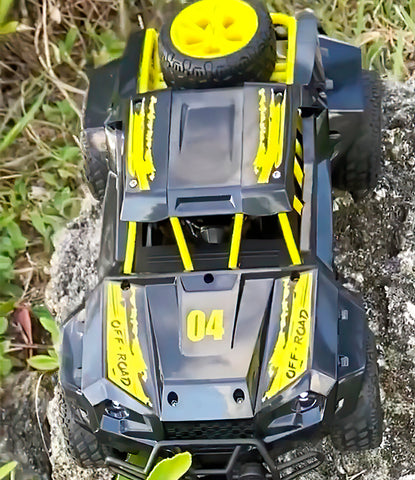 RC car for outdoor 