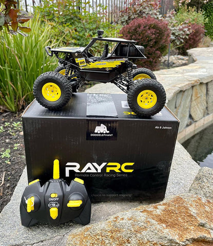 On and off-road RC truck