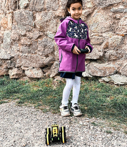 Remote control car that can go through any terrain