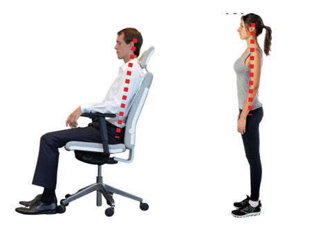Représentation graphique d'un homme assis et d'une femme debout respectant l'alignement ergonomique tête cou tronc