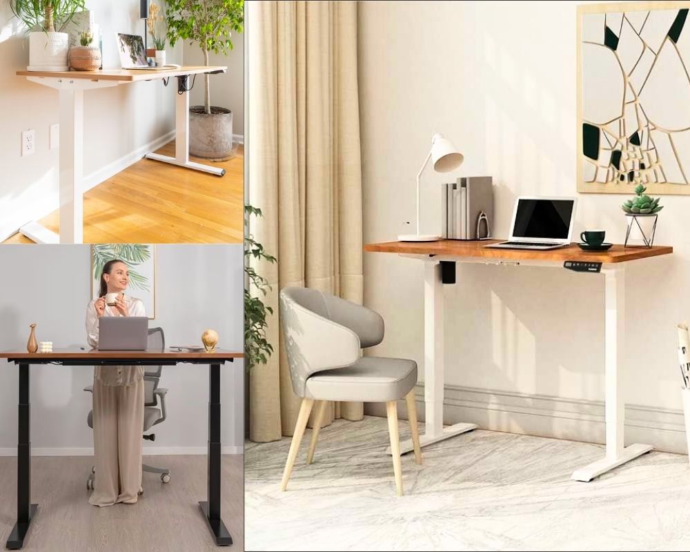 Flexispot EG1 Meilleure bureau assis debout