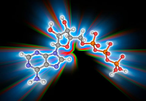 Adenosin-Molekül