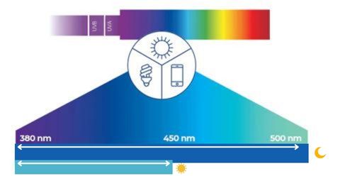 graphique montrant la nocivité de la lumière bleue le jour et la nuit