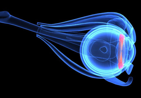 laser image of the anatomical eye