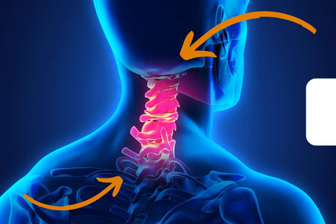 depiction of cervical spine