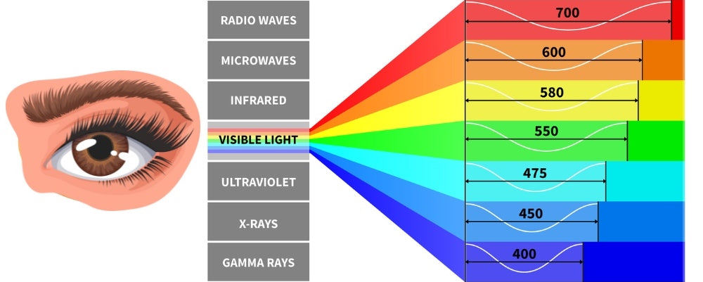 illustration showing the appropriate wavelength of blue light for the eyes.