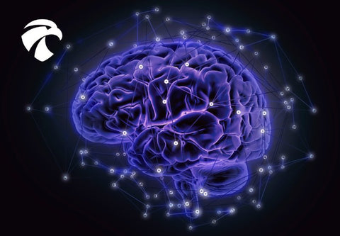 Cerveau en violet sur noir avec petits points lumineux représentants la colère
