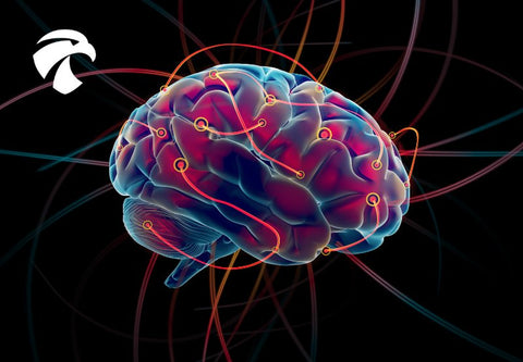 Cerveau en activité avec flux lumineux rouge et bleu