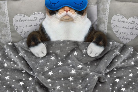 chat qui dort avec un masque de sommeil pour bloquer la lumière bleue