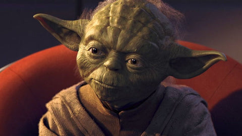 Meister Yoda, der uns eindringlich ansieht