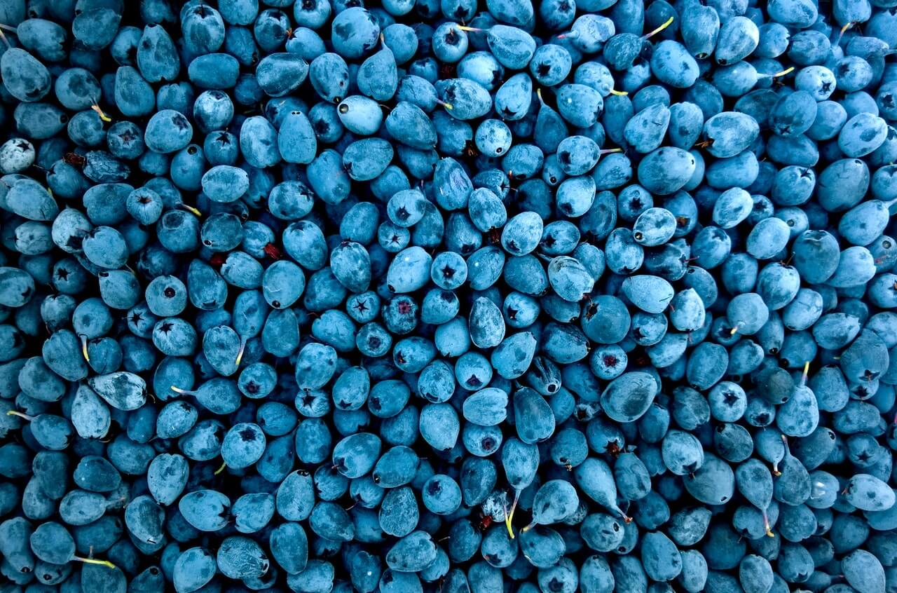 the best food supplement for vision blueberry