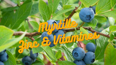 Zinc and vitamins in blueberries