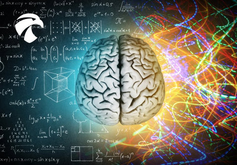 cerveau sur un fond d'équations et de résolution spatiale