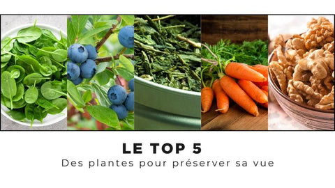 presentation des meilleures plantes pour améliorer la vue