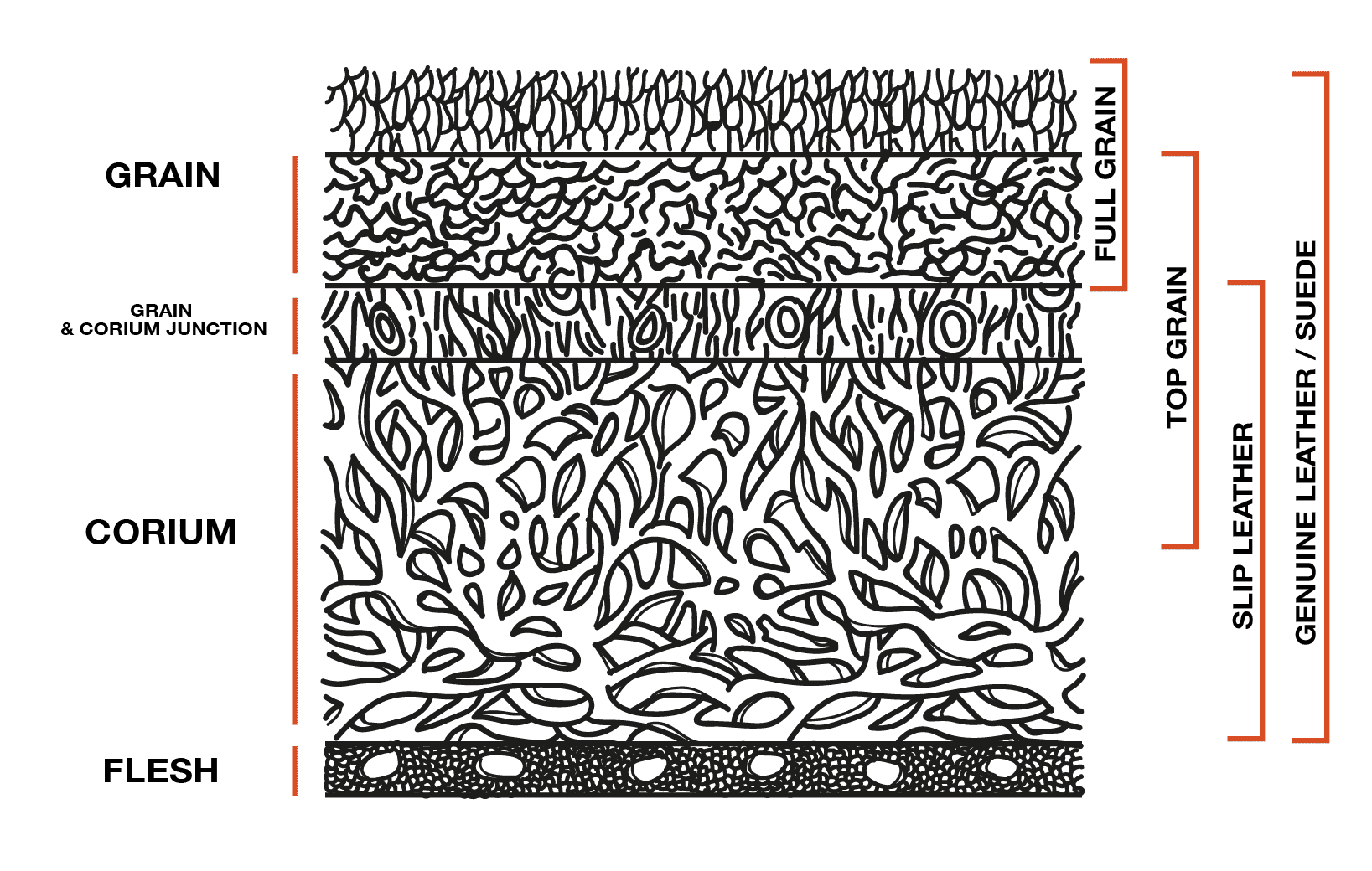 Understanding Leather Grains: Top Grain, Full Grain, Corrected