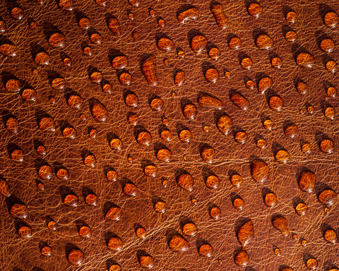 Individual water droplets on brown leather