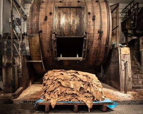 Pile of leather removed from a vegetable-tanning vat 