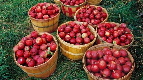 Red apples in basket