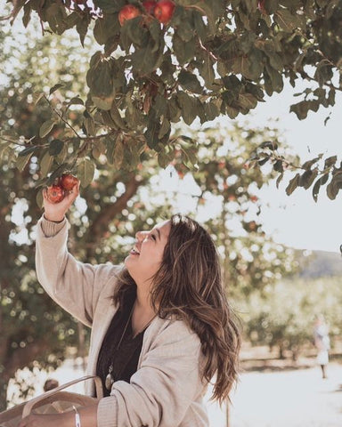 Los Rios Rancho Apple Picking