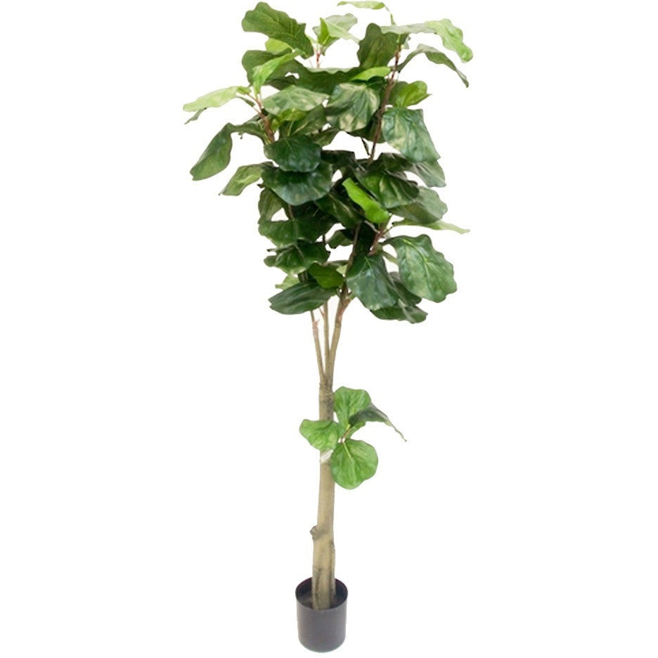 Faux Fiddle Leaf Fig Tree - Various Options | Flux Boutique - ... Faux Fiddle Leaf Fig Tree - Various Options ...